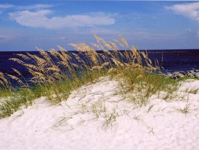 Sandy Beach